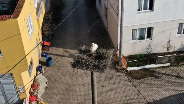 Yaren leylek ile Adem amca 10'uncu kez buluştu Yaren leylek ile Adem amca 10'uncu kez buluştu