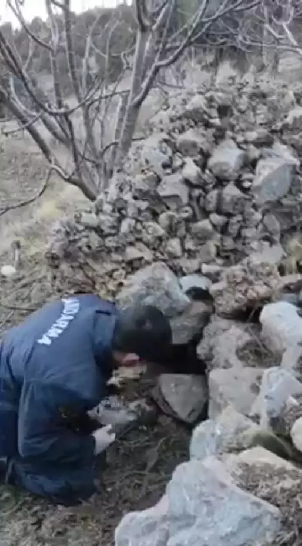 Adana'da ruhsatsız silah ve mühimmat bulunduran 5 kişiye gözaltı