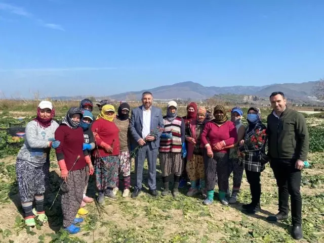 AK Parti İzmir Dünya Kadınlar Gününde 30 ilçede sahadaydı