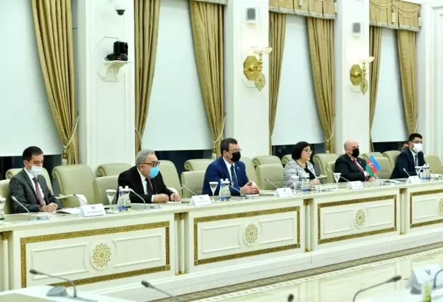 Azerbaycan Milli Meclis Başkanı Gafarova, TBMM Dışişleri Komisyonu Başkanı Kılıç ile görüştü