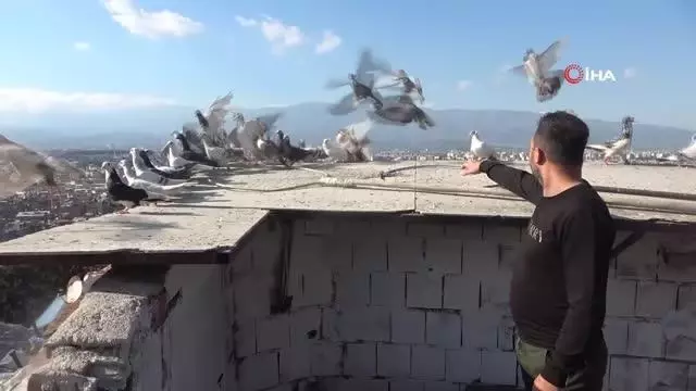 Babadan miras güvercin sevdası Babadan miras güvercin sevdası