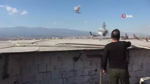 Babadan miras güvercin sevdası Babadan miras güvercin sevdası