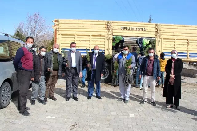 Develi Belediyesi'nden çam fidanı desteği Develi Belediyesi'nden çam fidanı desteği