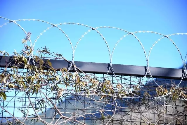 Son dakika... Fethiye Belediyesi'nden Hayvan severleri sevindirecek karar Son dakika... Fethiye Belediyesi'nden Hayvan severleri sevindirecek karar