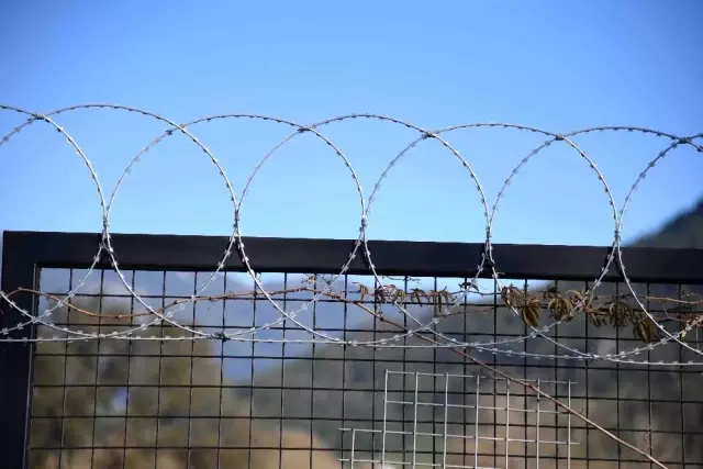Son dakika... Fethiye Belediyesi'nden Hayvan severleri sevindirecek karar Son dakika... Fethiye Belediyesi'nden Hayvan severleri sevindirecek karar