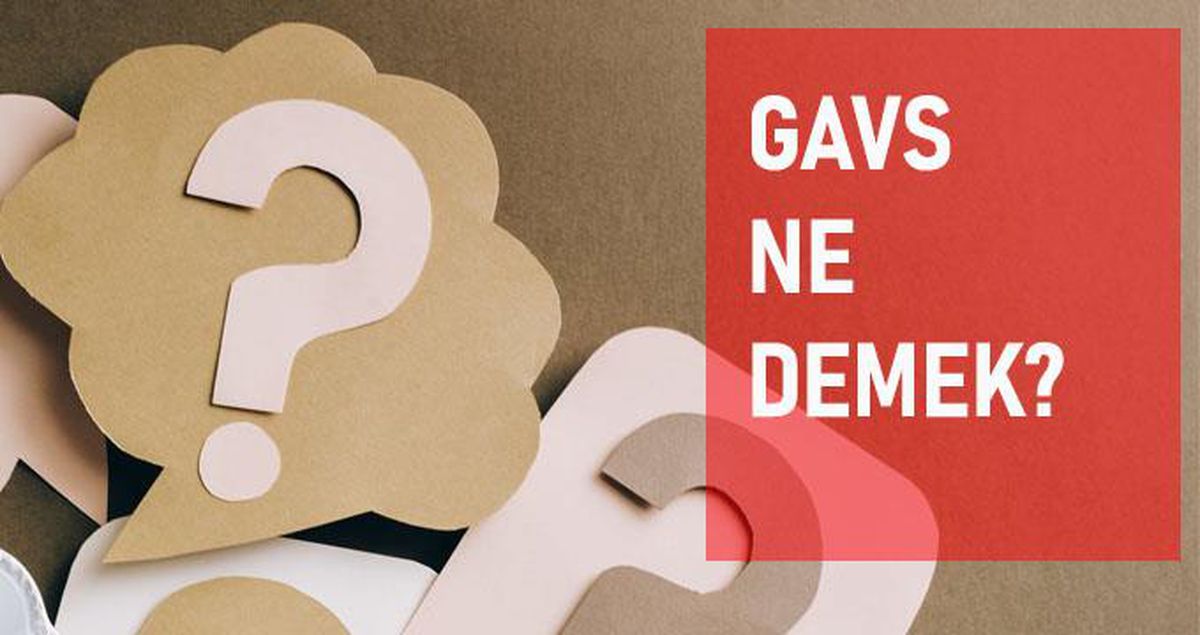 Gavs ne demek? Gavs anlamı ne?