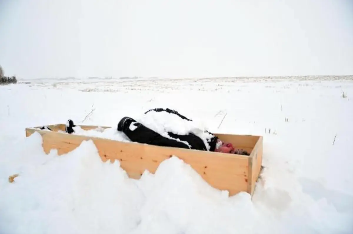 Kadına şiddete dikkat çekmek isterken ölümden dönen profesör, o anları anlattı: Sadece saliselerle kurtuldum