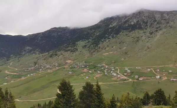 GİRESUN Karadeniz'de tarım, hayvancılık ve sanayi projelerine destek