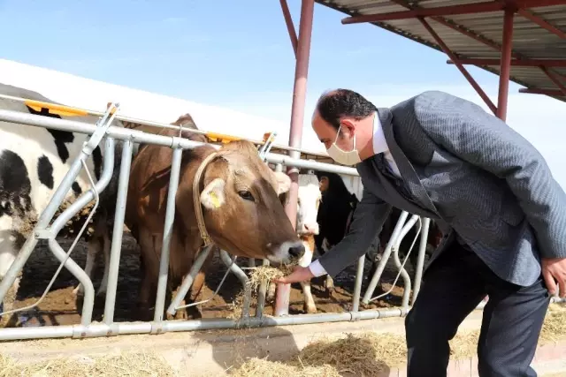 Konya Büyükşehir ve SÜ'den Konya tarımı için örnek iş birliği