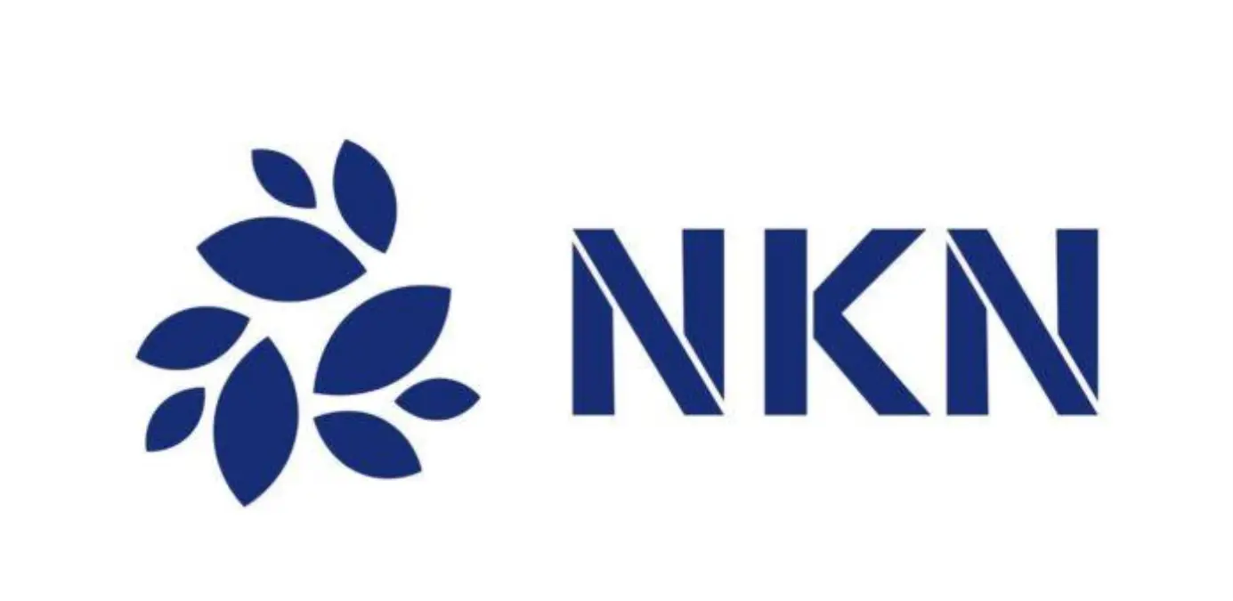 NKN Coin nedir? NKN nedir, nasıl alınır? NKN yorum ve grafiği