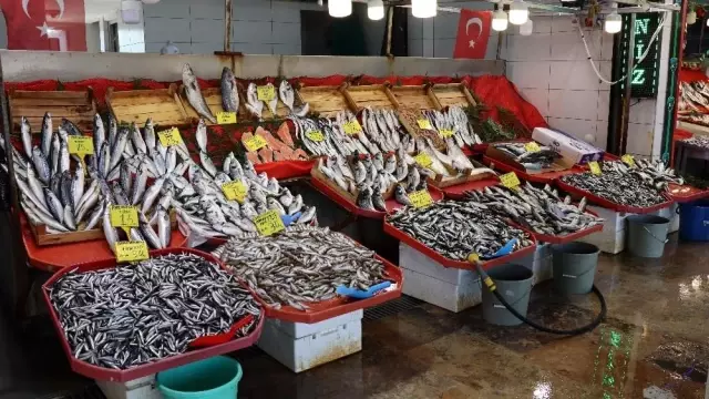 Sezonu bitirmeye hazırlanan balıkçılardan uyarı: 'Varken yiyelim' Sezonu bitirmeye hazırlanan balıkçılardan uyarı: 'Varken yiyelim'