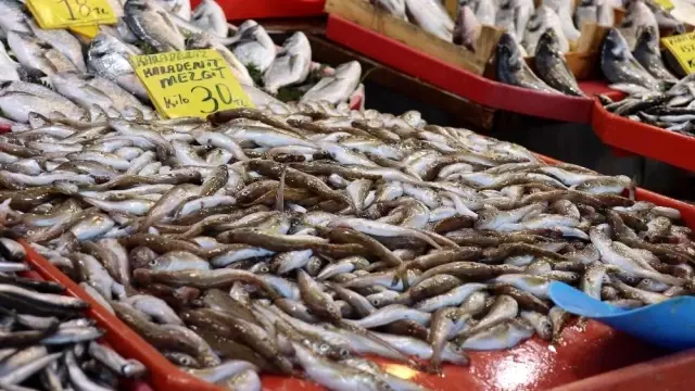 Sezonu bitirmeye hazırlanan balıkçılardan uyarı: 'Varken yiyelim' Sezonu bitirmeye hazırlanan balıkçılardan uyarı: 'Varken yiyelim'