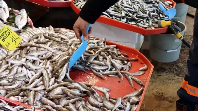 Sezonu bitirmeye hazırlanan balıkçılardan uyarı: 'Varken yiyelim' Sezonu bitirmeye hazırlanan balıkçılardan uyarı: 'Varken yiyelim'