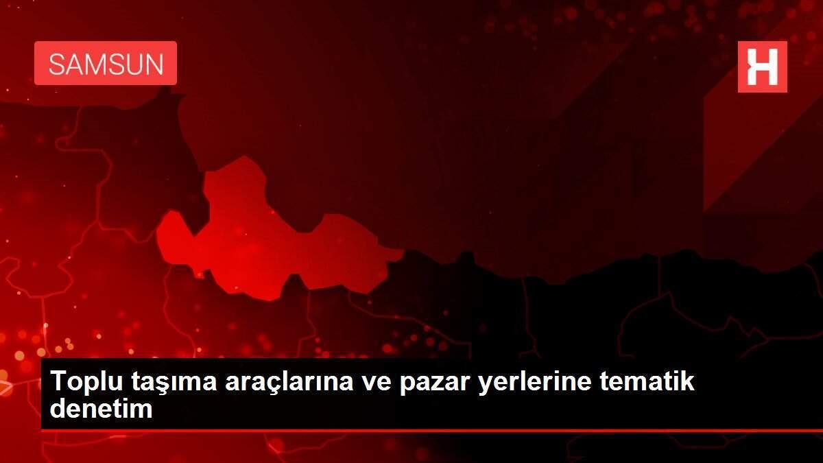 Toplu taşıma araçlarına ve pazar yerlerine tematik denetim Toplu taşıma araçlarına ve pazar yerlerine tematik denetim