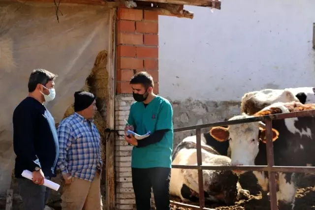 Besicilere destek için saha calışması