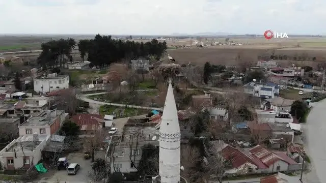 Cami minaresindeki yuva 40 yıldır leyleklere ev sahipliği yapıyor Cami minaresindeki yuva 40 yıldır leyleklere ev sahipliği yapıyor