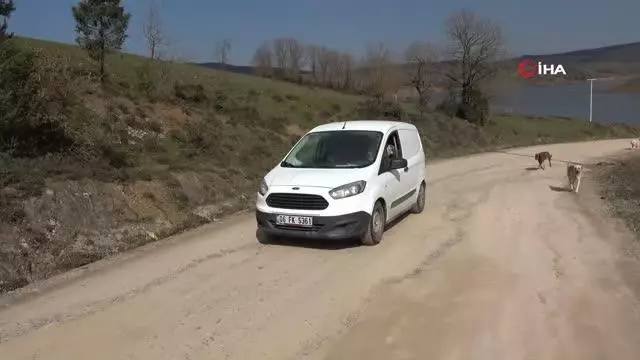 Öğretmen maaşını ve zamanını 300 dilsiz canın bakımına adadı Öğretmen maaşını ve zamanını 300 dilsiz canın bakımına adadı