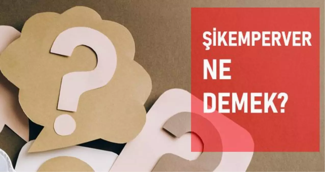Şikemperver ne demek? Şikemperver anlamı ne?
