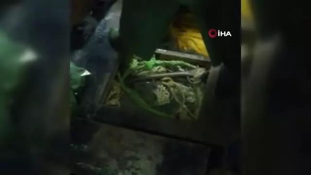 Yenikapı'da su ürünleri denetiminde 25 kasa lüfere el konuldu