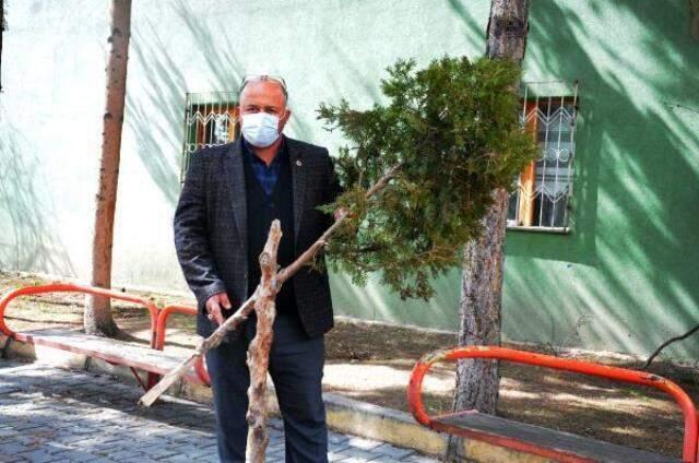 Cami bahçesindeki fidanı kıran kadına cemaat tepki gösterdi! O anlar kamerada Cami bahçesindeki fidanı kıran kadına cemaat tepki gösterdi! O anlar kamerada
