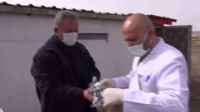 Sivas'ın 'taklacı güvercini' tescillenecek Sivas'ın 'taklacı güvercini' tescillenecek