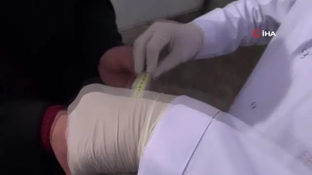 Sivas'ta 6 bin yetiştirici 1 milyon güvercin besliyor Sivas'ta 6 bin yetiştirici 1 milyon güvercin besliyor