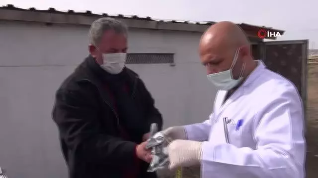 Sivas'ta 6 bin yetiştirici 1 milyon güvercin besliyor Sivas'ta 6 bin yetiştirici 1 milyon güvercin besliyor