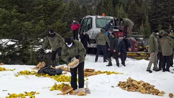 Uludağ Milli Parkı'nda yaban hayvanlarına yem bırakıldı Uludağ Milli Parkı'nda yaban hayvanlarına yem bırakıldı