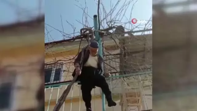 Yaşlı adam çıktığı ağaçta bayılarak asılı kaldı... Görenler şoke oldu