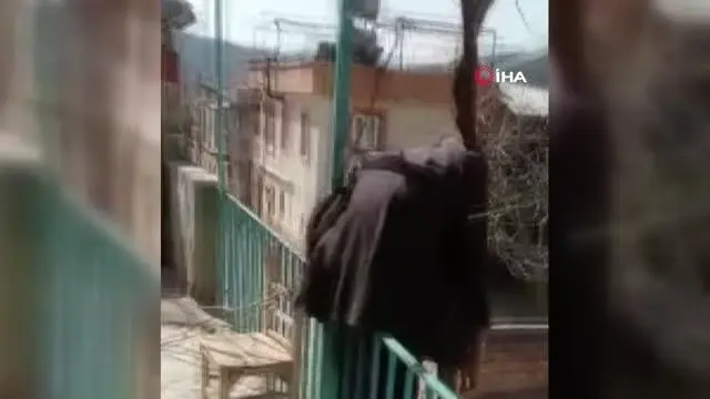 Yaşlı adam çıktığı ağaçta bayılarak asılı kaldı... Görenler şoke oldu