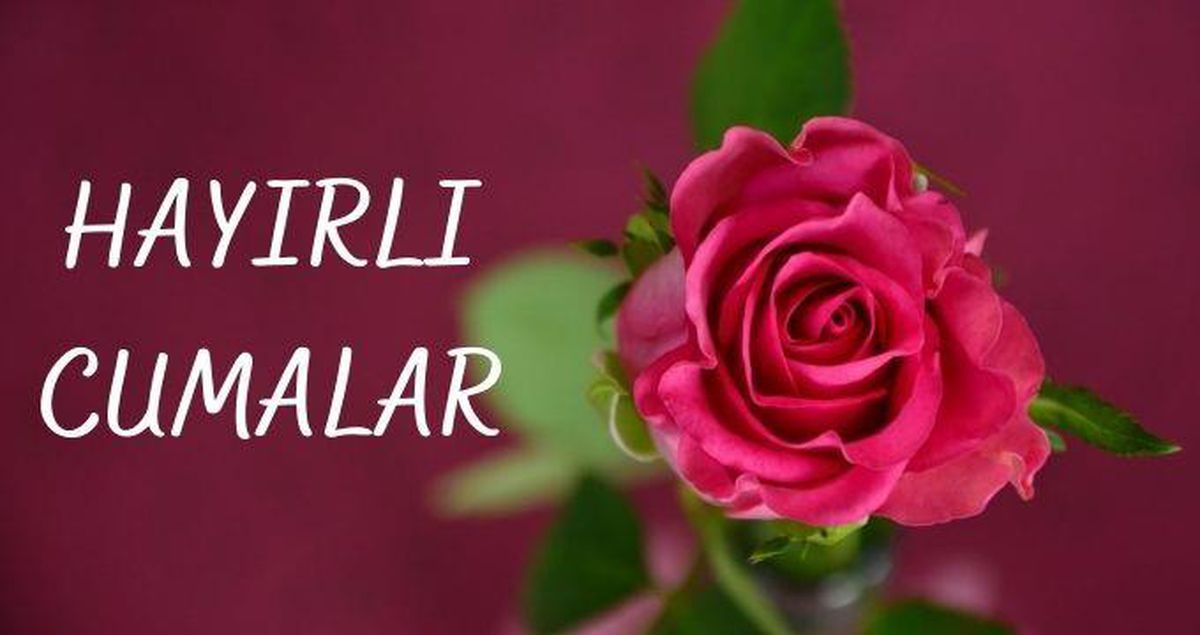 2021 Cuma mesajları yazılı kısa ve öz! Resimli güllü hayırlı cumalar mesajları
