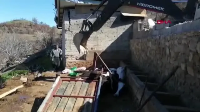 ADANA Yangında evleri yanan çiftin fırtınada inekleri telef oldu ADANA Yangında evleri yanan çiftin fırtınada inekleri telef oldu