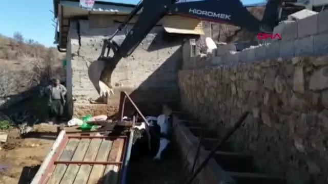 ADANA Yangında evleri yanan çiftin fırtınada inekleri telef oldu ADANA Yangında evleri yanan çiftin fırtınada inekleri telef oldu