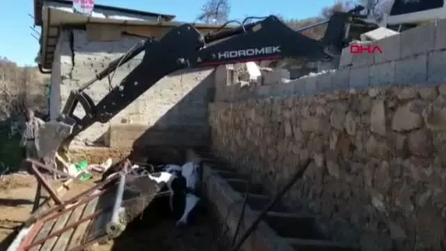 ADANA Yangında evleri yanan çiftin fırtınada inekleri telef oldu ADANA Yangında evleri yanan çiftin fırtınada inekleri telef oldu