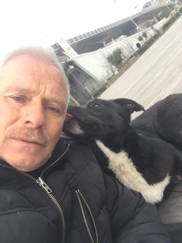 Haliç'te daha önce intihar eden 2 kişiyi kurtaran kaptan, bu defa de denize düşen köpeği kurtardı