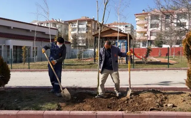 Keçiören'de ağaçlar öğrencilere emanet Keçiören'de ağaçlar öğrencilere emanet