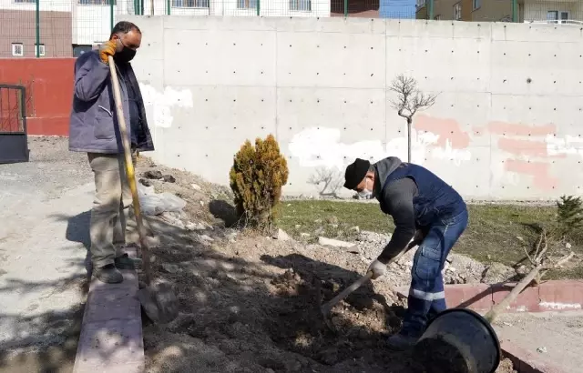 Keçiören'de ağaçlar öğrencilere emanet Keçiören'de ağaçlar öğrencilere emanet