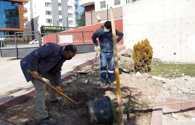 Keçiören'de ağaçlar öğrencilere emanet Keçiören'de ağaçlar öğrencilere emanet