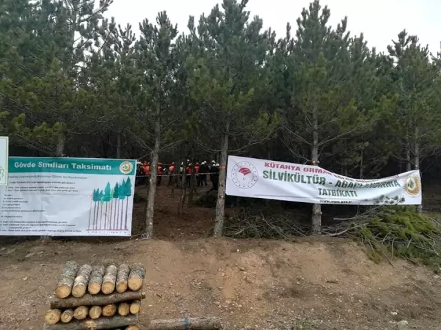Kütahya'da 2021 yılı silvikültür ve ağaçlandırma tatbikatı Kütahya'da 2021 yılı silvikültür ve ağaçlandırma tatbikatı
