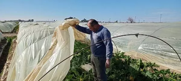 Mersin'de fırtına seraları yıktı, evlerin çatılarını uçurdu -Ek