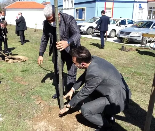 Okul bahçesine 410 fidan dikildi Okul bahçesine 410 fidan dikildi