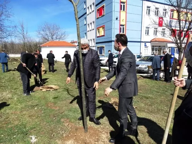 Okul bahçesine 410 fidan dikildi Okul bahçesine 410 fidan dikildi