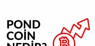 POND Coin nedir? Güncel Marlin (POND) Coin yorum ve grafiği