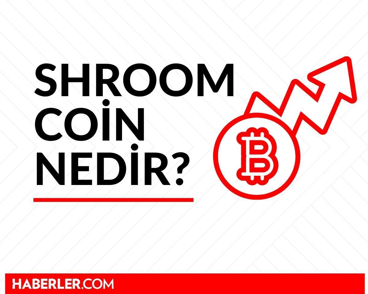 Shroom Coin nedir? Shroom Coin yorum ve grafiği