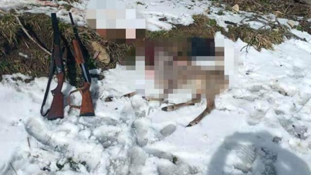 Avı yasak karacayı avlayan 3 şahıs, suçüstü yakalandı