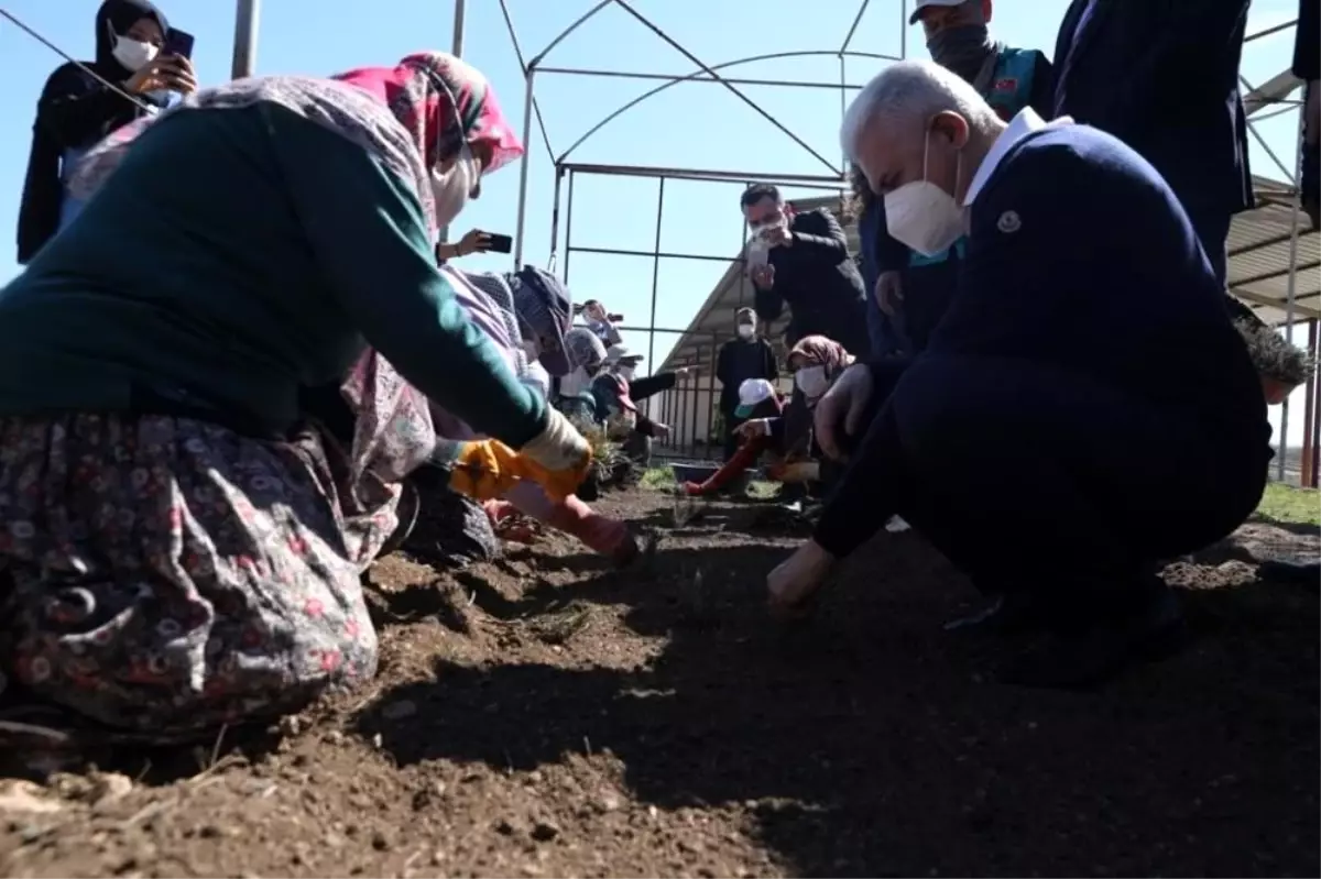 Binali Yıldırım, önce lavanta dikti ardından 4 leylek ve 1 şahini doğal yaşam alanına bıraktı