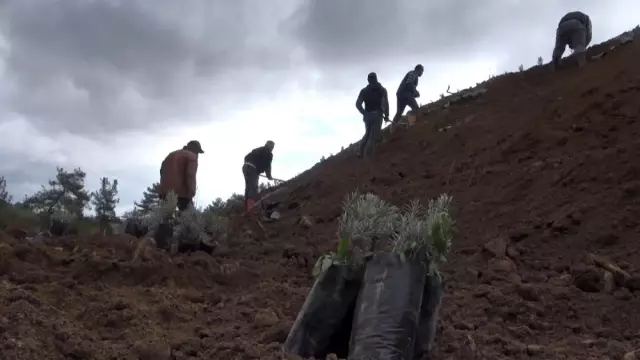 Çanakkale'de 8 muhtardan madene destek açıklaması