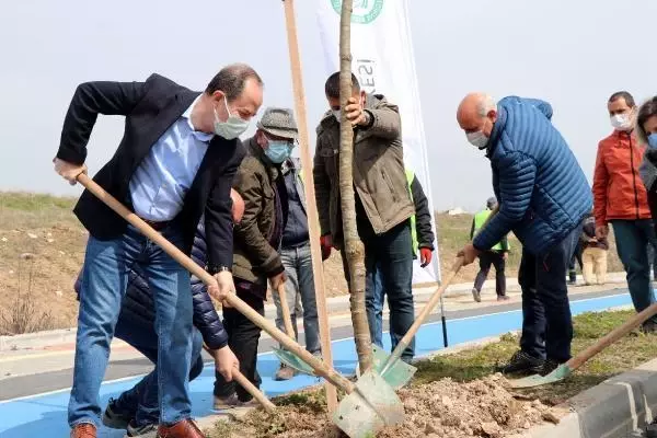 EDİRNE Prof. Dr. Feriha Öz'ün adı ıhlamur ağacında yaşayacak EDİRNE Prof. Dr. Feriha Öz'ün adı ıhlamur ağacında yaşayacak