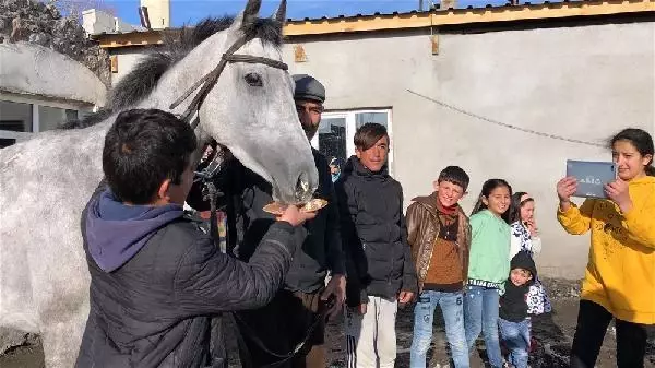 Şampiyon yarış atı Kelebek'e pastalı doğum günü Şampiyon yarış atı Kelebek'e pastalı doğum günü