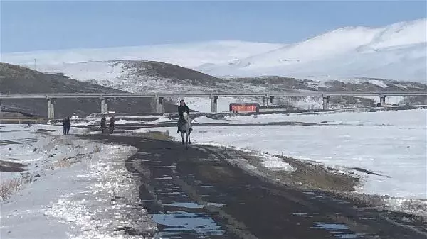Şampiyon yarış atı Kelebek'e pastalı doğum günü Şampiyon yarış atı Kelebek'e pastalı doğum günü